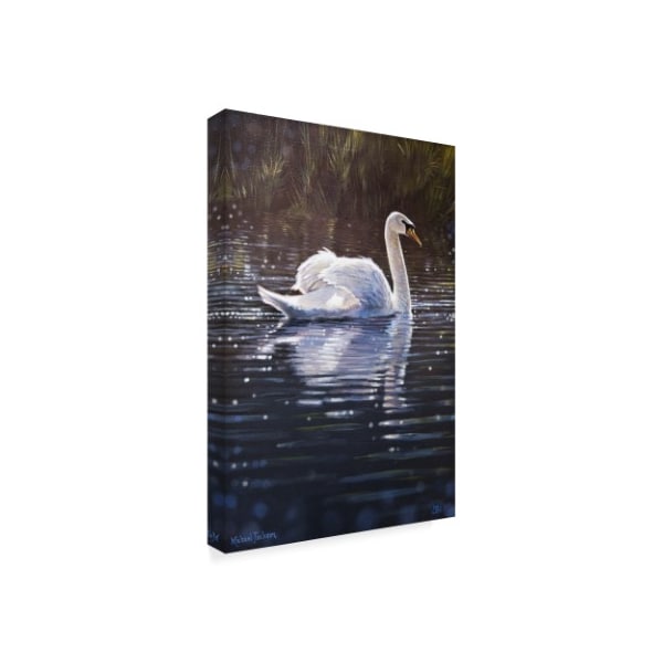 Michael Jackson 'White Goose In Water' Canvas Art,22x32